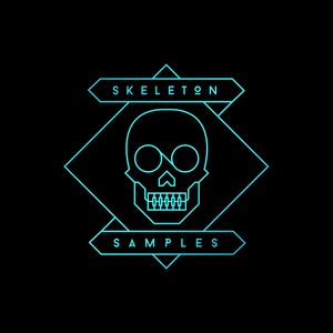 Download Sample pack Skeleton Samples