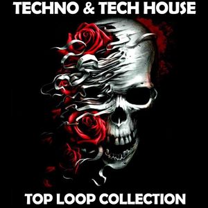 Download Sample pack Techno & Tech House Top Loop Collection by Skull Label