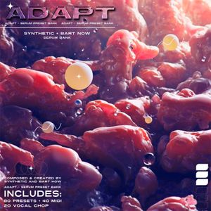 Download Sample pack Adapt - Sound Kit