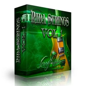 Download Sample pack Electric Guitar Loops - Rida Strings Vol.1