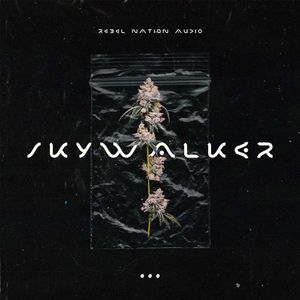 Download Sample pack SkyWalker