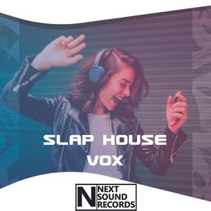 Download Sample pack Slap House Vox
