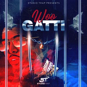 Download Sample pack WOO GATTI