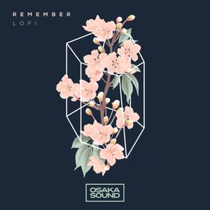 Download Sample pack Remember - Lofi