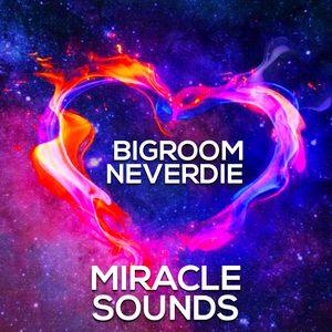 Download Sample pack BIGROOM NEVERDIE