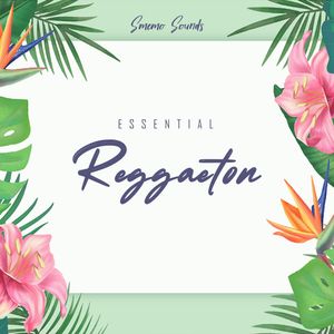 Download Sample pack ESSENTIAL REGGAETON
