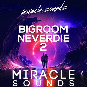 Download Sample pack BIGROOM NEVERDIE 2