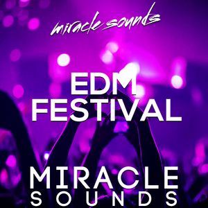 Download Sample pack Festival EDM