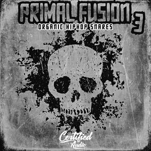 Download Sample pack Primal Fusion: Organic Hip Hop Snares 3