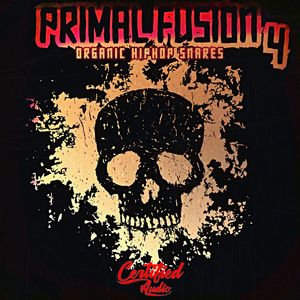 Download Sample pack Primal Fusion: Organic Hip Hop Snares 4