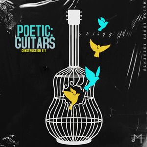 Download Sample pack Poetic: Guitars