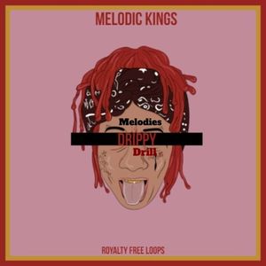 Download Sample pack Drippy Drill Melodies