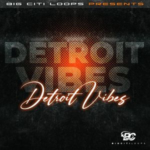 Download Sample pack Detroit Vibez
