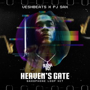 Download Sample pack Heavens Gate - AfroBeat Saxophone Samples
