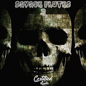 Download Sample pack Savage Flutes 3