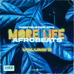 Download Sample pack MORE LIFE 2: Afrobeats