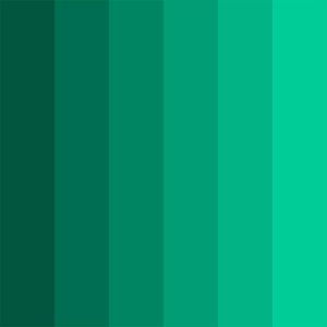 Download Sample pack Shades : Cactus