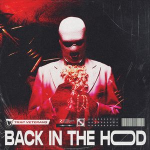 Download Sample pack Back in the Hood
