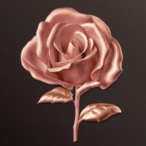 Download Sample pack Rose Goldn