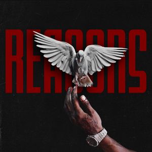 Download Sample pack Reasons