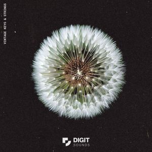 Download Sample pack Vintage Keys & Strings