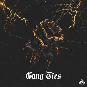 Download Sample pack Gang Ties