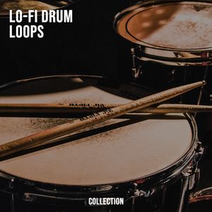 Discover a Versatile Collection of Lo-Fi Drum Loops!