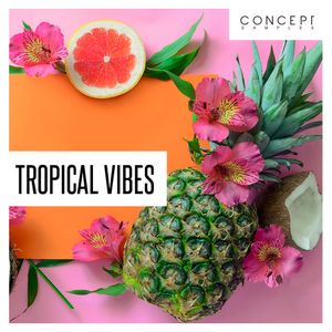 Download Sample pack Tropical Vibes