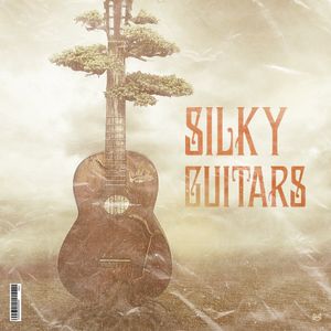 Download Sample pack Silky Guitars