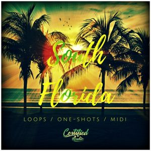 Download Sample pack South Florida Construction Kit