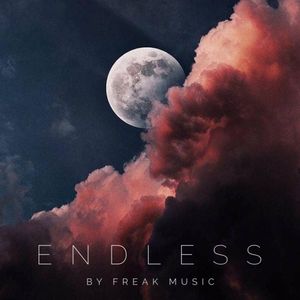 Download Sample pack Endless