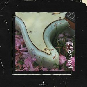 Download Sample pack Blossom