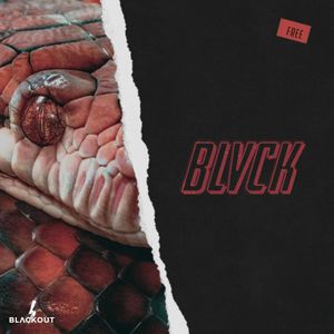 Download Sample pack Blvck