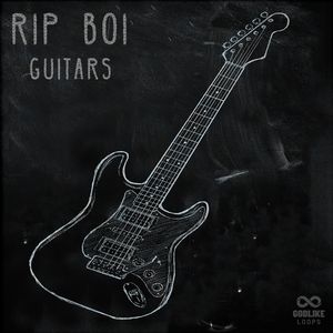 Download Sample pack RipBoi Guitars