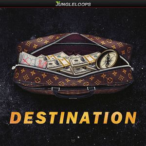 Download Sample pack Destination