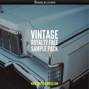 Download Sample pack Vintage Sample Pack