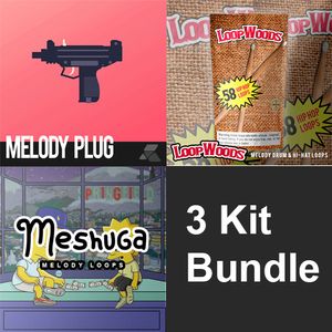 Download Sample pack Melody Loops Bundle