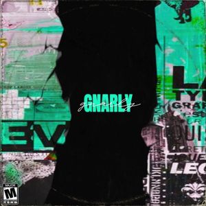 Download Sample pack Gnarly