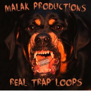 Download Sample pack Real Trap Loops