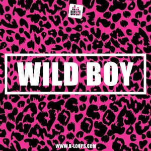 Download Sample pack Wild Boy