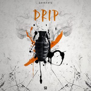 Download Sample pack DRIP (Sound Kits)