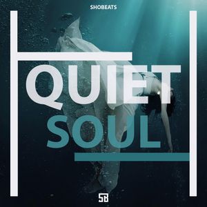 Download Sample pack QUIET SOUL