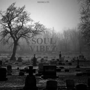 Download Sample pack SOUL VIBEZ