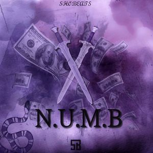 Download Sample pack X NUMB