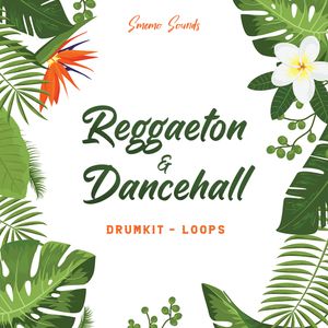 Download Sample pack REGGAETON & DANCEHALL