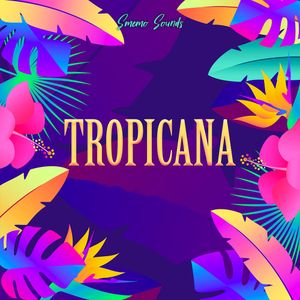 Download Sample pack TROPICANA