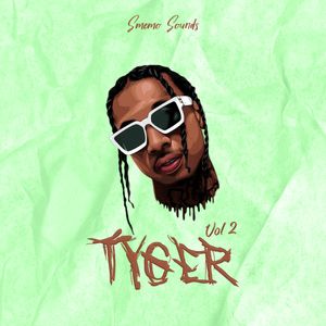 Download Sample pack TYGER vol.2 (Sound Kits)