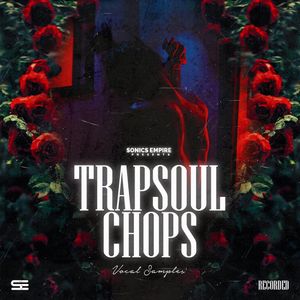 Download Sample pack Trapsoul Chops