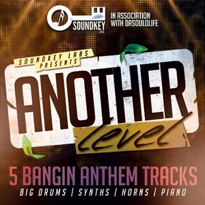 Download Sample pack Another Level