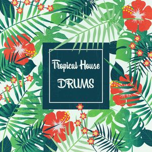 Download Sample pack Tropical House Drums